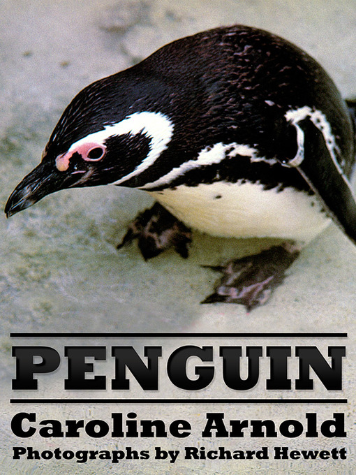 Title details for Penguin by Caroline Arnold - Available